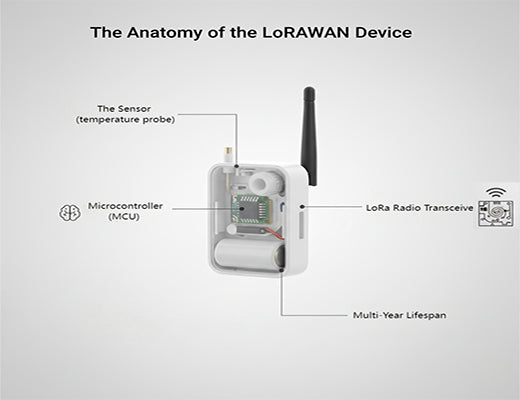 An infographic showing the four key internal components of a typical LoRaWAN device: the sensor, microcontroller, LoRa radio, and a long-life battery.