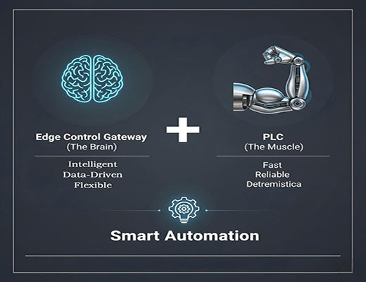 An infographic using the analogy of a brain (edge control) and muscle (PLC) to explain their synergistic roles in modern automation.