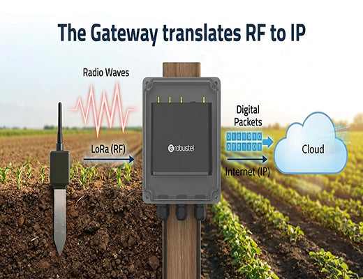 A conceptual diagram showing a LoRaWAN gateway translating analog radio waves from sensors into digital IP packets for the cloud.
